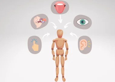 Ergotherapie bij overprikkeling: ASITT