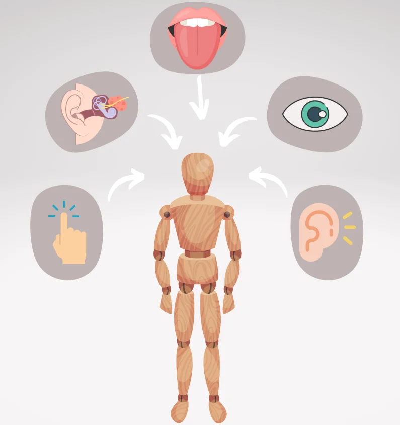 ASITT therapie bij overprikkeling
